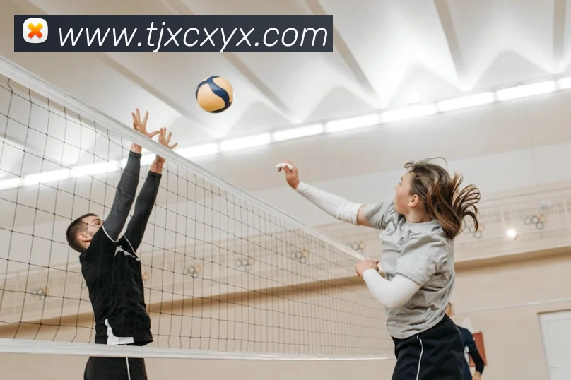 kaiyun网页登录入口平台生态图